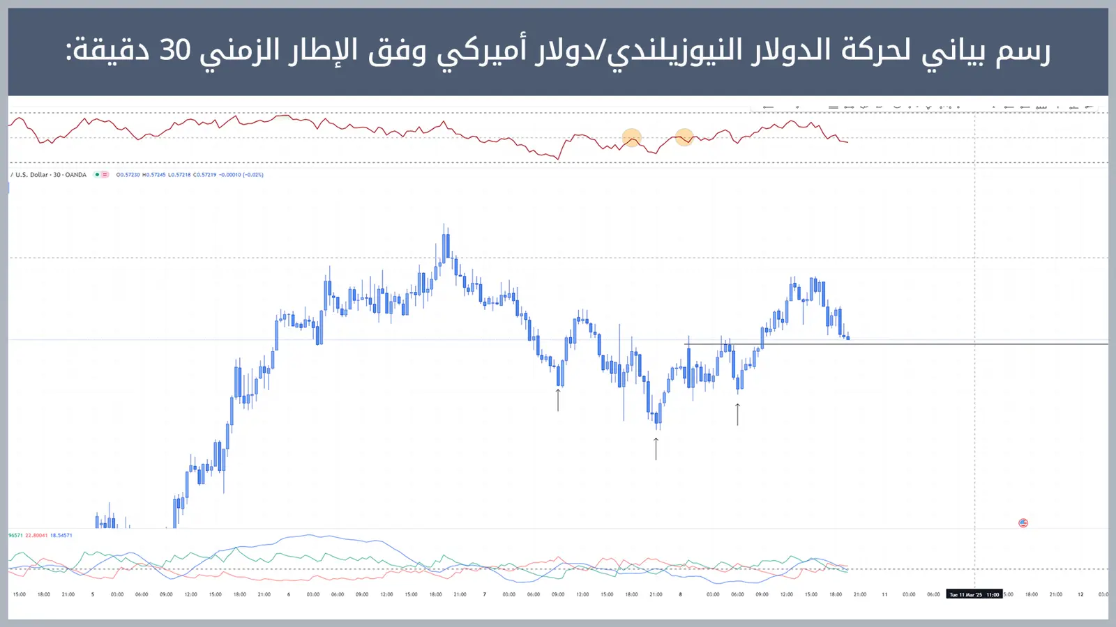 حركة زوج الدولار النيوزيلندي/دولار أميركي